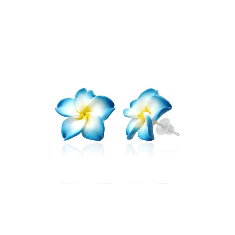 Boucles d'oreilles aloa