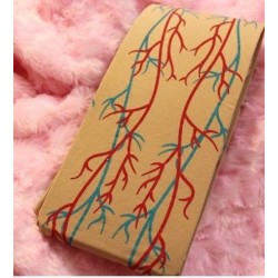 Collants veines zombie