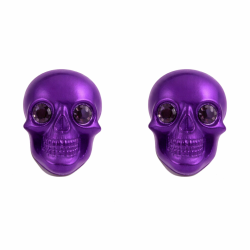 Boucles d'oreille tête de mort colorées