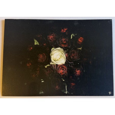 Carte postale bouquet de roses