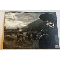 Carte postale petrichor