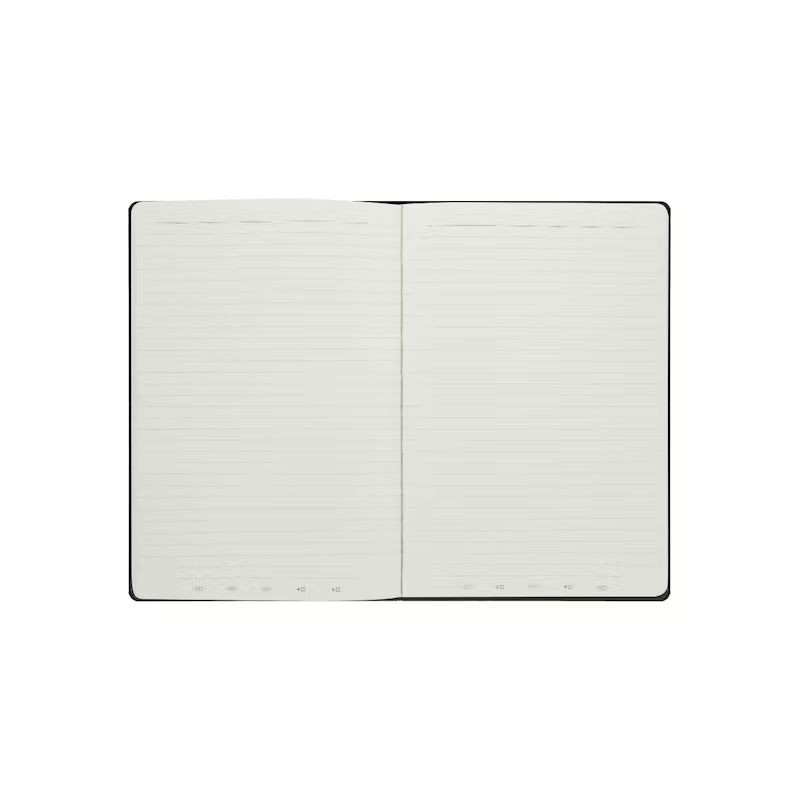 Carnet "liées par la magie"